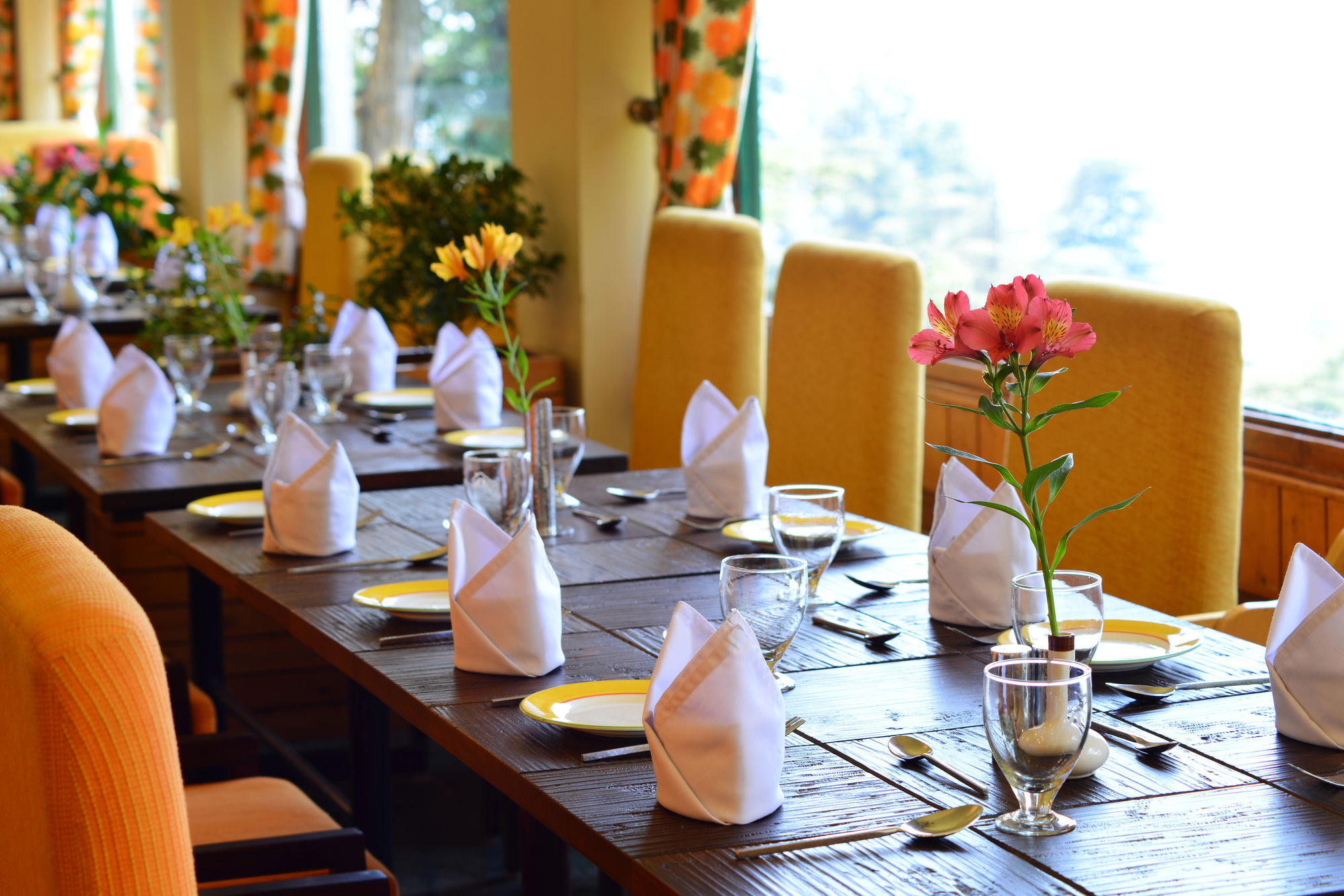 Honeymoon Inn Mussoorie Extérieur photo
